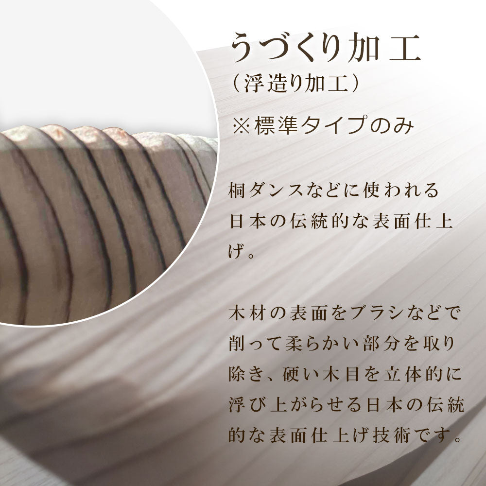 標準タイプ (ローマ字ロゴ)